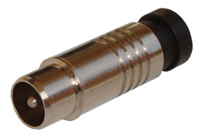 iCon_C61b_weby.jpg