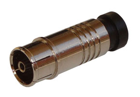 iCon_C61c_weby.jpg