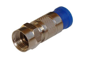 iCon_C81b_weby.jpg